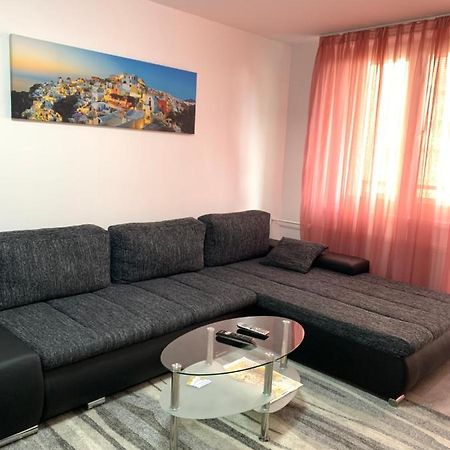 Apartament Tt10 Botanicka 트르나바 외부 사진
